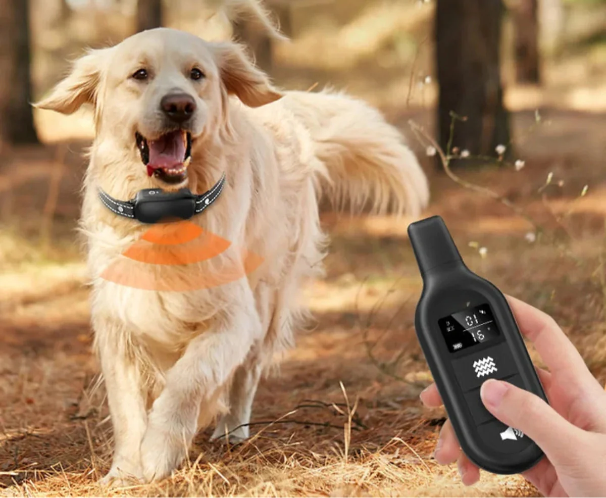 Waterproof Dog Training Collar with Remote Control