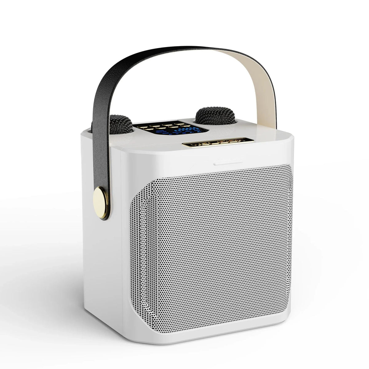 Portable Karaoke Bluetooth Speaker with Dual Microphones
