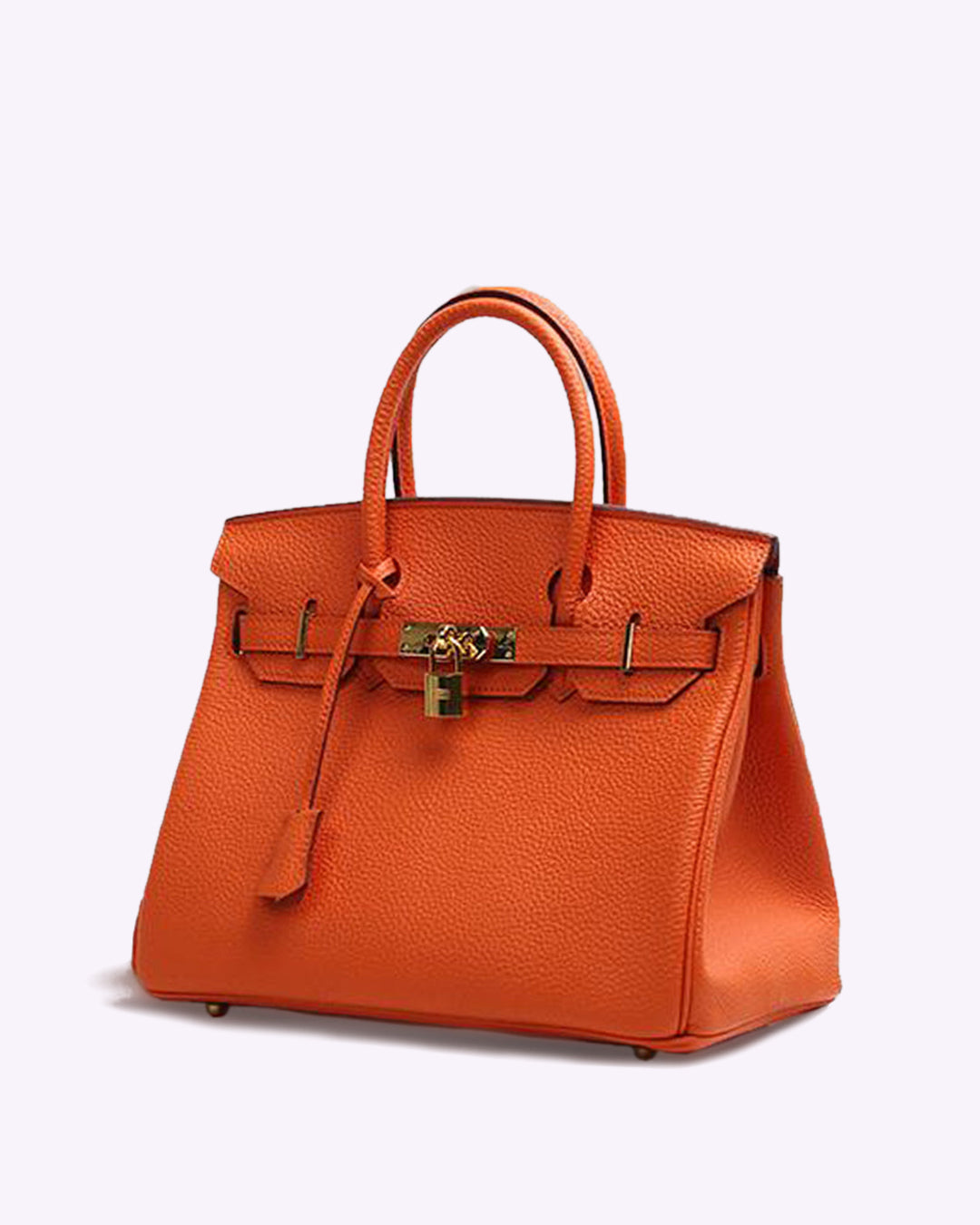 Leather Handbag with Gold Lock Hardware