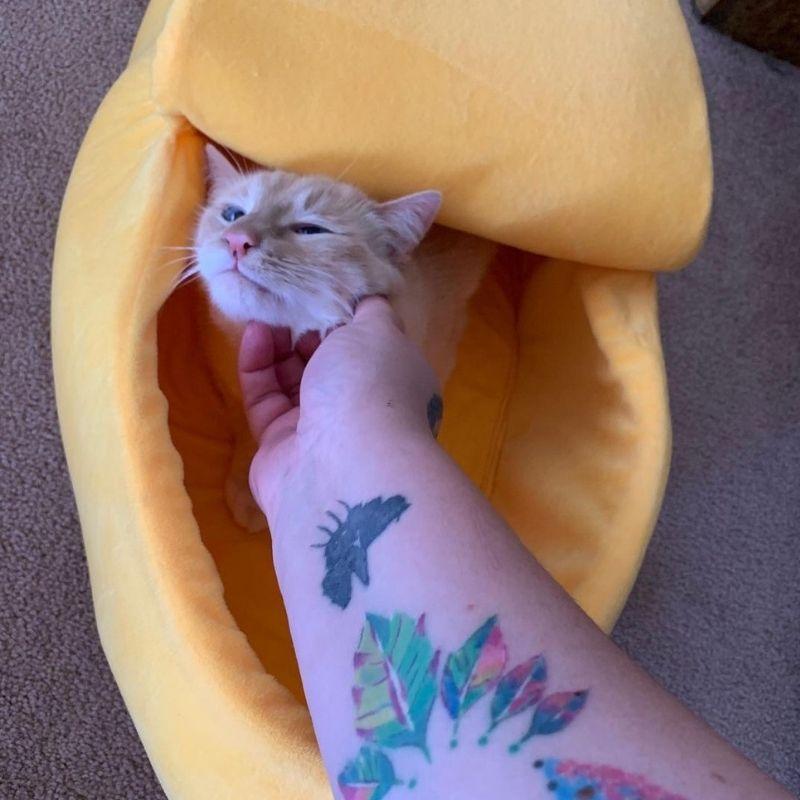 Banana-Shaped Cat Bed with Soft Plush Cushion