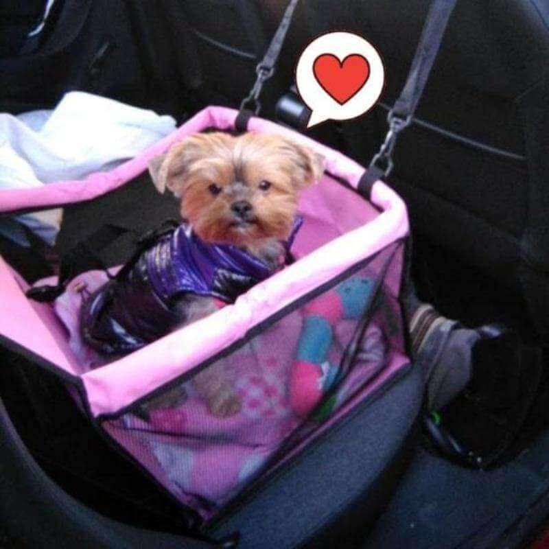 Pet Car Safety Seat with Secure Harness Straps
