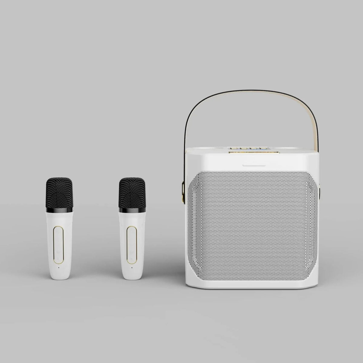 Portable Karaoke Bluetooth Speaker with Dual Microphones
