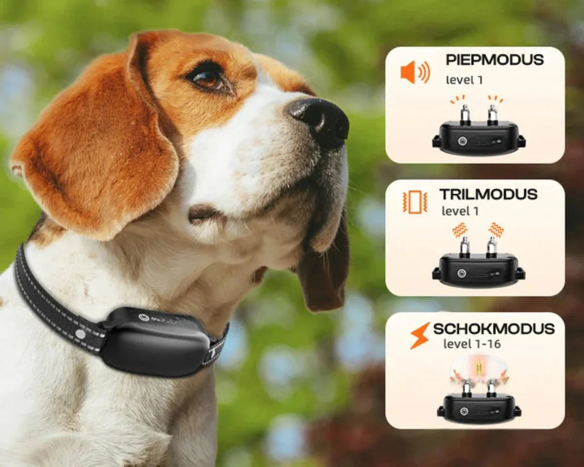 Waterproof Dog Training Collar with Remote Control