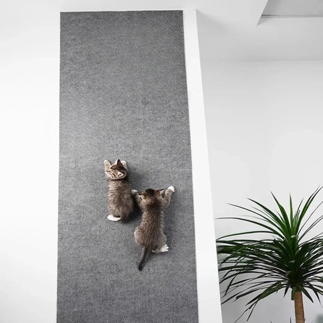 Pet Scratch Protector Pad for Furnitures
