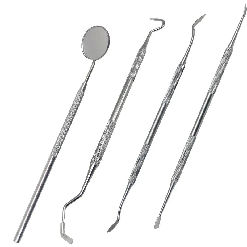Stainless Steel Dental Tool Set for Plaque and Tartar Care