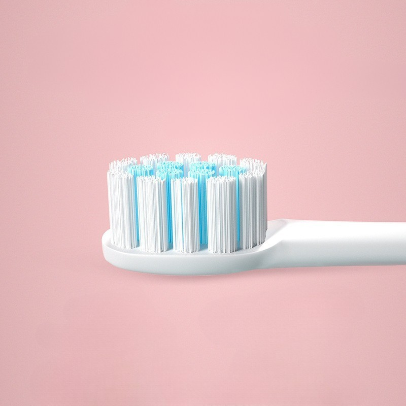 Rechargeable Electric Toothbrush with Multiple Brush Heads
