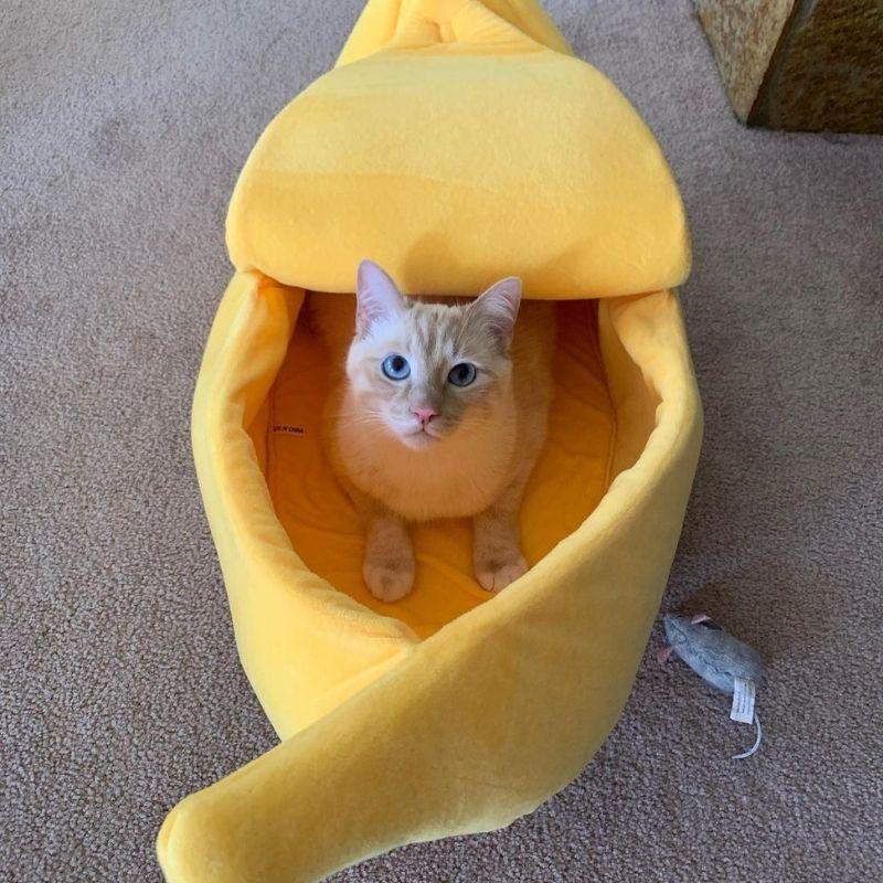 Banana-Shaped Cat Bed with Soft Plush Cushion