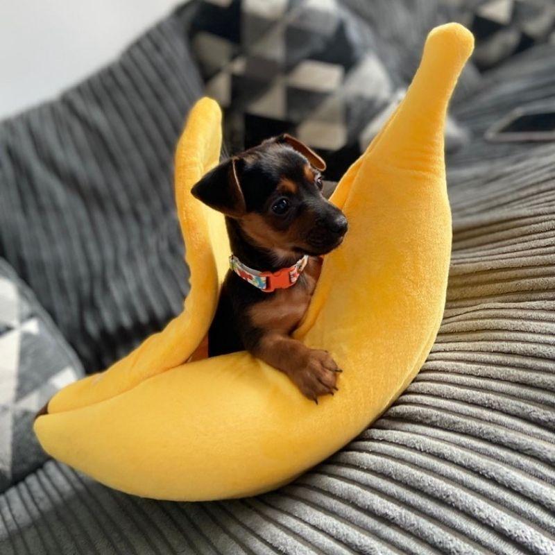 Banana-Shaped Cat Bed with Soft Plush Cushion
