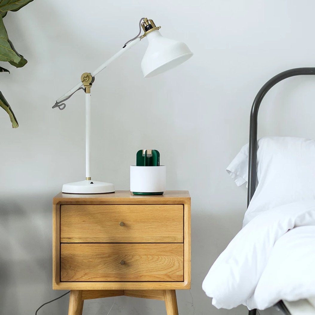 Cactus UV Mosquito Killer Lamp with Quiet Operation